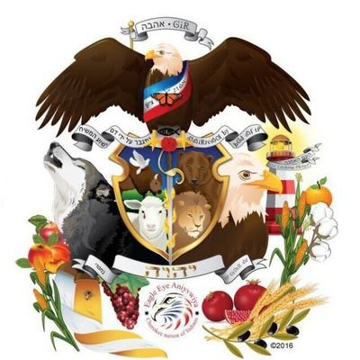 Profile Picture of Alexander Holler (@Alexand40491639) on Twitter