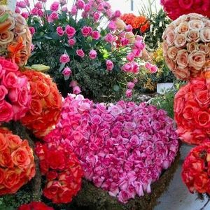 Profile Picture of Sameer Shetty (@268733687) on Myspace