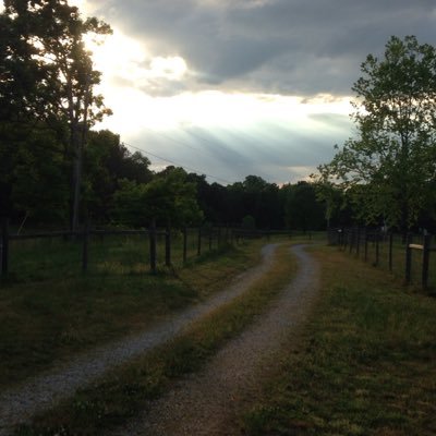 Profile Picture of David B Gaither, CPA (@dbgcpa) on Twitter