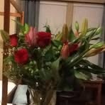 Profile Picture of Joyce Cogdell (@Joyce-Cogdell) on Facebook