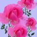 Profile Picture of Jonak Jonak (@Jonak-Jonak) on Facebook