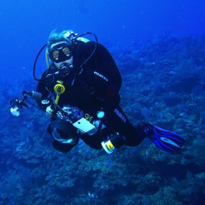 Profile Picture of Michelle Keating (@divebubbles) on Twitter