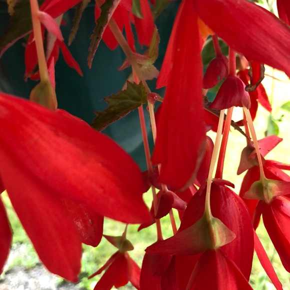 Lisa Kinley - Poshmark Profile Picture of Lisa Kinley (@lisam_ak) on Poshmark