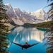 Profile Picture of Huthaifa Alani (@alanihuthaifa) on Pinterest