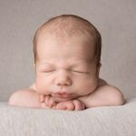 Profile Picture of Ernest Edward Bear Taylor💙 (@ernest.bear) on Instagram