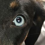 Profile Picture of Jason McNew (@jason.mcnew) on Instagram