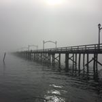 Profile Picture of James Thompson McFaddin (@theponderingpapa) on Instagram
