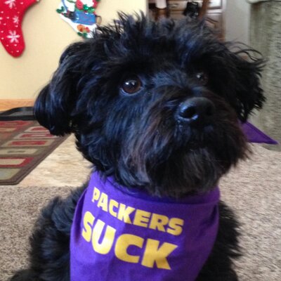 Profile Picture of Terry Jung (@TCSportsFan) on Twitter