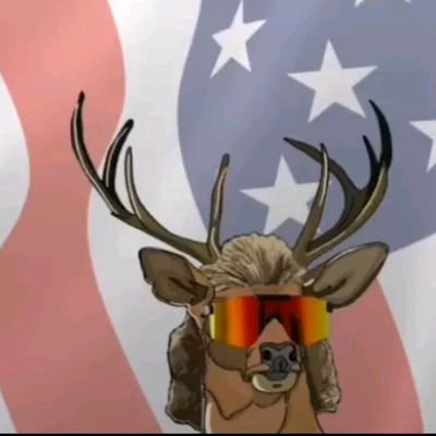 Profile Picture of Jacob Dew (@jacobdew3) on Twitter