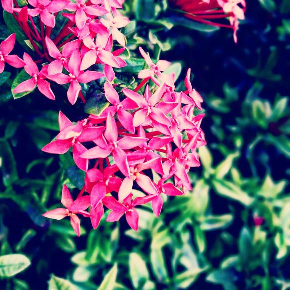 Profile Picture of Maegan Hansen (@maeganh6699) on Poshmark