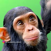 Profile Picture of Mirella (@Eumirella0) on Youtube