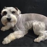 Profile Picture of Jose Francisco Urquijo Orjuela (@jofranurq) on Instagram