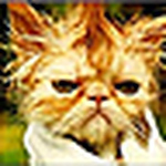 Profile Picture of Zoejeejeebhoy (@zoejeejeebhoy) on Flickr