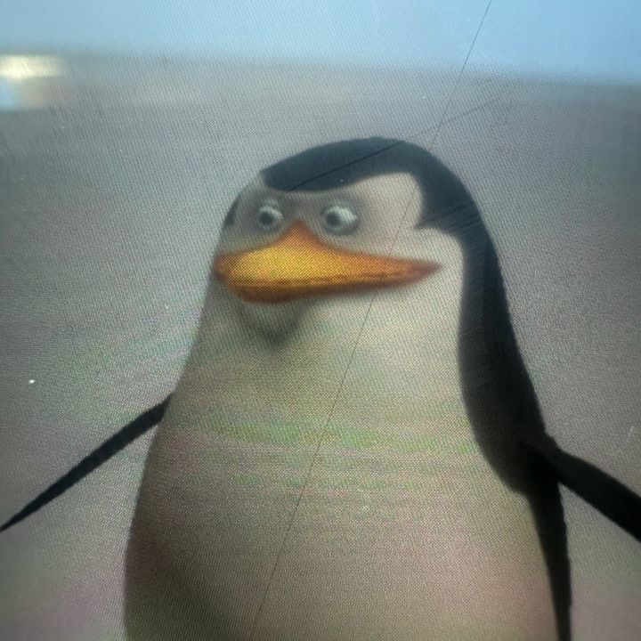 Profile Picture of Skipper (@raultheitalian0) on Tiktok