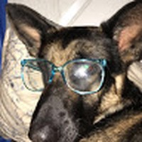 Kameron Smith - Quora Profile Picture of Kameron Smith (@kameron-smith-102) on Quora