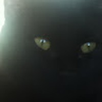 Profile Picture of Heidi Knickerbocker (@heidi-knickerbocker-4) on Quora