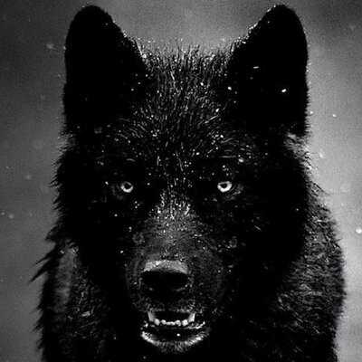 Profile Picture of Twin (@Sag_Nasty) on Twitter