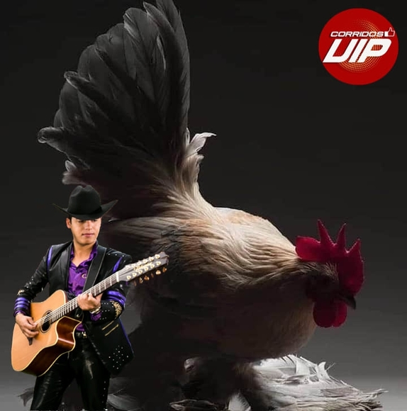 Profile Picture of Fernando Naranjo (@f_naranjo) on Poshmark