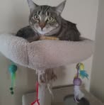 Profile Picture of Jose Collantes (@jose.collantes.204107) on Facebook