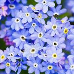 Profile Picture of Наталия Савченко (@natalia_savchenko_432) on Instagram