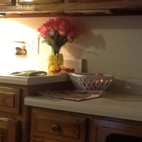 Profile Picture of Robin Gower (@rgower) on Poshmark