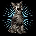 Profile Picture of Corey Hewitt (@dr.hewitt) on Instagram