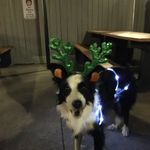 Profile Picture of Jacqueline Rapp (@rappster335) on Instagram