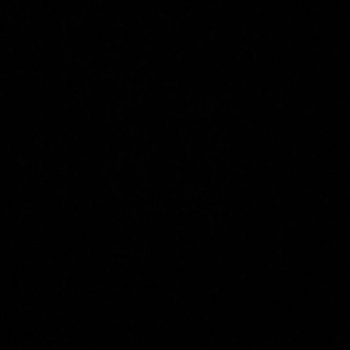 Profile Picture of Noel Fritz (@@noelfritz33) on Tiktok