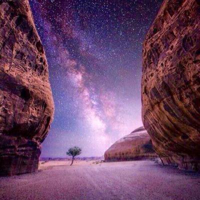 Bert Ross - Twitter Profile Picture of Bert Ross (@bert9ross) on Twitter