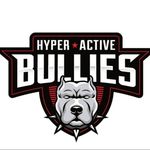 Profile Picture of 𝔹𝕣𝕚𝕒𝕟 𝕎𝕒𝕣𝕕 (@hyper_active_bullies) on Instagram