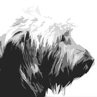 Profile Picture of Brian Finn Valente (@brian-finn-valente) on Quora