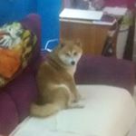 Profile Picture of Richard Ruffinoni (@richardruffinoni) on Instagram