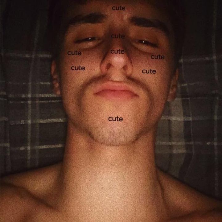 Profile Picture of Kalvin Potter (@@kalvinpotter) on Tiktok