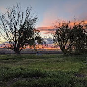 Profile Picture of Jessica Tompkins (@jessicatompkins733) on Youtube