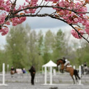 Profile Picture of Stephanie Craig (@CherryBlossomFarm) on Youtube