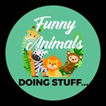 Profile Picture of Funny Animals Doing Stuff (@funnyanimalsdoingstuff) on Instagram