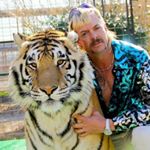 Profile Picture of ◇ Joseph Maldonado-Passage (@the_real_joe_exotic) on Instagram