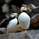 Profile Picture of Bob Butcher (@BobButcher) on Flickr