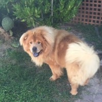 Profile Picture of Sherry Barwick (@sherry-barwick) on Quora