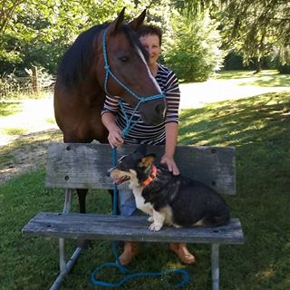 J Sue Deckard (Barringer) - Facebook Profile Picture of J Sue Deckard (Barringer) (@jsue.deckard) on Facebook