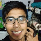 Profile Picture of Max Osorio Castro (@summax182) on Youtube
