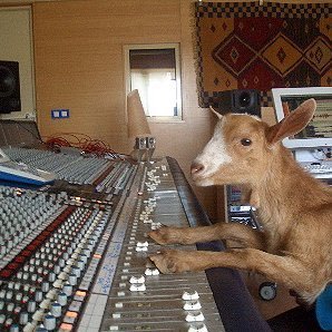 Profile Picture of Quimi Portet (@Quimi_Portet) on Twitter