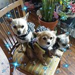 Profile Picture of Dora Bernal (@dora.bernal.503092) on Instagram