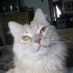 Profile Picture of Harold Roerig (@harold.roerig) on Facebook