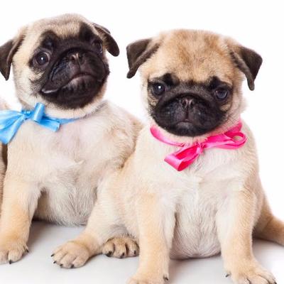 Profile Picture of Leah Marie Hodgson (@LeaMarieHodgson) on Twitter