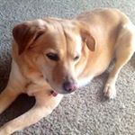 Profile Picture of Bryan Tate (@bryan.tate.731) on Instagram