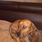 Profile Picture of Dylan Dufour (@dufour_dylan) on Instagram