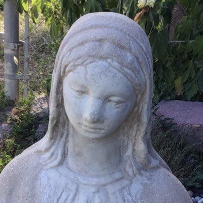 Profile Picture of Barbara Jean (@SpesMeaInDeoBoo) on Twitter