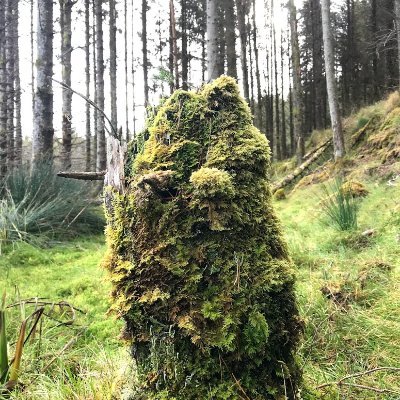 Profile Picture of Stephen Hannon (@stephenhannon17) on Twitter