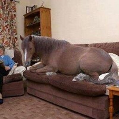 Profile Picture of Lj Roberts-reinhardt (@LjLorelei77) on Twitter